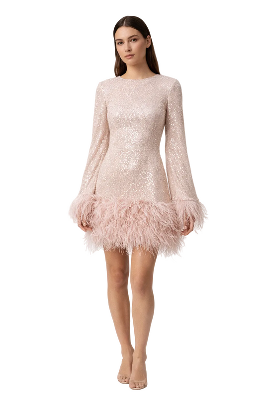 Glitzerndes Pailletten-Kleid - FeatherMagic