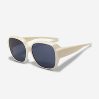 Snap-On Sonnenbrille für Brillenträger – ClipRay
